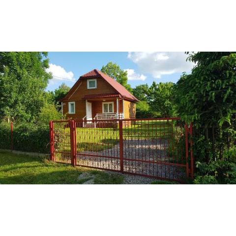 Dom z widokiem na Narew